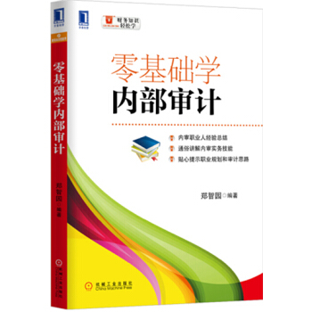 零基礎學內部審計 pdf epub mobi 下载