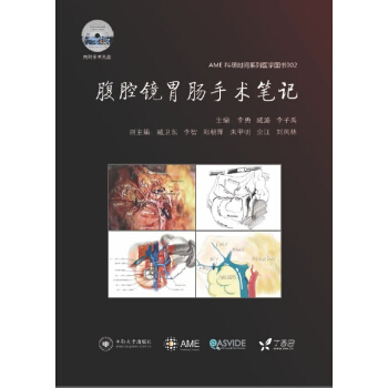 腹腔镜胃肠手术笔记 AME科研时间系列医学图书002 pdf epub mobi 下载