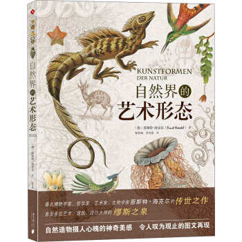 自然界的藝術形態 pdf epub mobi 下载