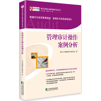 管理审计操作案例分析