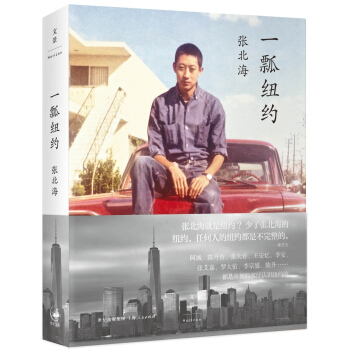 一瓢纽约 pdf epub mobi 下载