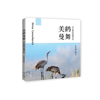 美鹤曼舞　沙丘鹤的爱情表达 pdf epub mobi 下载