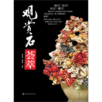 观赏石荟萃 pdf epub mobi 下载
