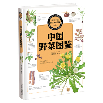 中國之美 自然生態圖鑒：中國野菜圖鑒 pdf epub mobi 下载