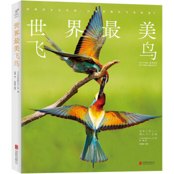 世界最美飞鸟 [世界の美しい飛んでいる鳥] pdf epub mobi 下载