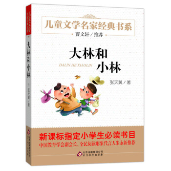 曹文軒推薦兒童文學經典書係 大林和小林 [6-12歲] pdf epub mobi 下载