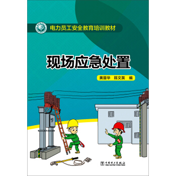 現場應急處置 pdf epub mobi 下载