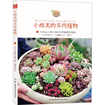 小而美的多肉植物