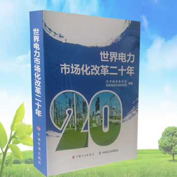 世界電力市場化改革二十年 pdf epub mobi 下载