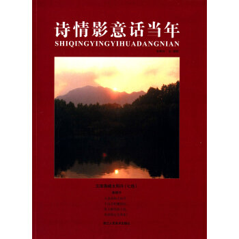诗情影意话当年 pdf epub mobi 下载