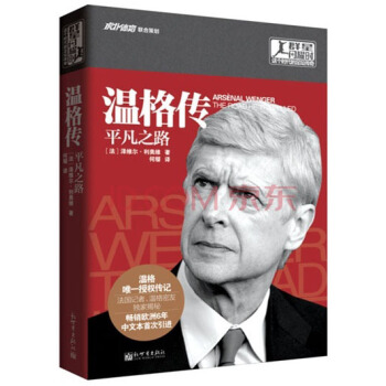 群星闪耀时 这个时代的足球传奇：温格传 平凡之路 pdf epub mobi 下载