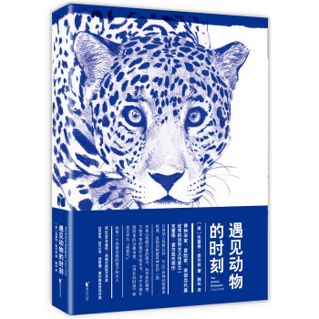 遇見動物的時刻 pdf epub mobi 下载