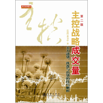 主控战略成交量（第二版） pdf epub mobi 下载