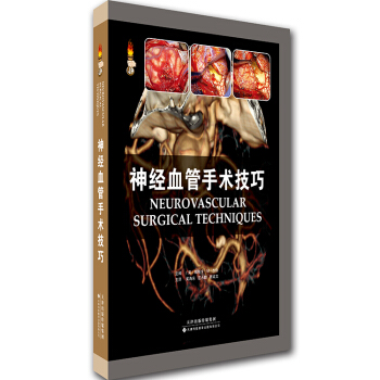 神經血管手術技巧 pdf epub mobi 下载