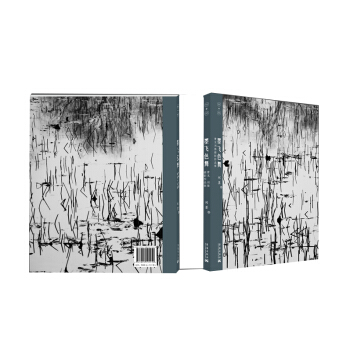 墨飞色舞：曹无刘墨摄影作品集（套装共两册） pdf epub mobi 下载