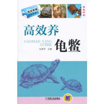 高效養龜鱉(高效養殖緻富直通車) 硃新平 pdf epub mobi 下载