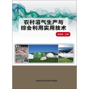 农村沼气生产与综合利用实用技术 pdf epub mobi 下载