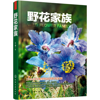 野花傢族 [Wild Flower Family] pdf epub mobi 電子書 下載