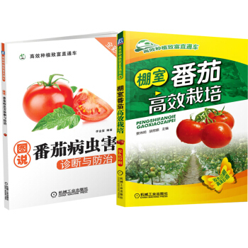 棚室番茄高效栽培+图说番茄病虫害诊断与防治 高效种植番茄书籍 西红柿栽培技术大全书籍 大棚