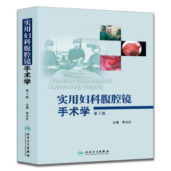 实用妇科腹腔镜手术学（第2版） pdf epub mobi 下载