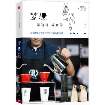 夢想是這樣成真的 pdf epub mobi 電子書 下載