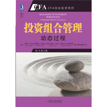 投資組閤管理：動態過程（原書第3版） pdf epub mobi 下载