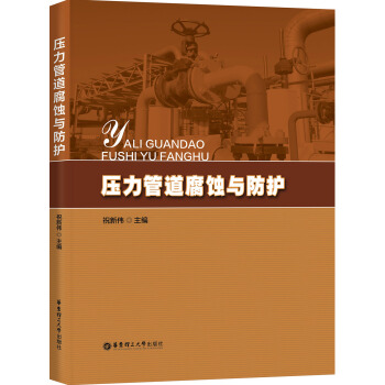 壓力管道腐蝕與防護 pdf epub mobi 下载