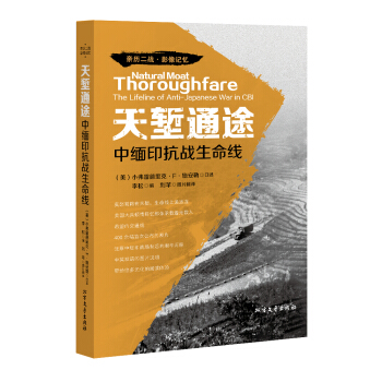 天堑通途：中缅印抗战生命线 pdf epub mobi 电子书 下载