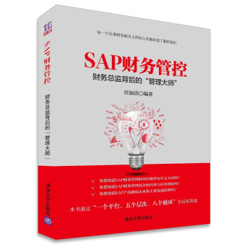 SAP财务管控：财务总监背后的“管理大师” pdf epub mobi 下载
