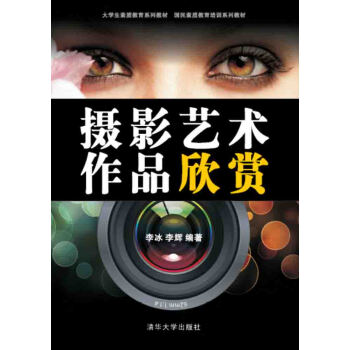 摄影艺术作品欣赏 pdf epub mobi 下载