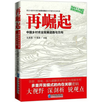 再崛起：中国乡村农业发展道路与方向 pdf epub mobi 下载