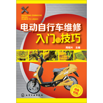 电动自行车维修入门与技巧 pdf epub mobi 下载