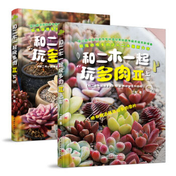 和二木一起玩多肉 2 （套装上下册） pdf epub mobi 下载