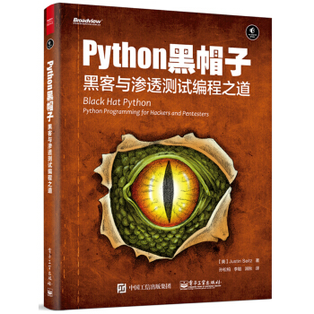 Python 黑帽子：黑客与渗透测试编程之道 pdf epub mobi 下载