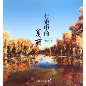 行走中的美丽 pdf epub mobi 下载