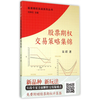 股票期权交易策略集锦/股票期权实战系列丛书 pdf epub mobi 下载