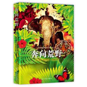 奔嚮荒野 pdf epub mobi 下载
