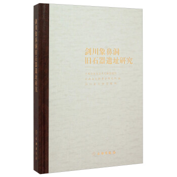 劍川象鼻洞舊石器遺址研究 pdf epub mobi 下载