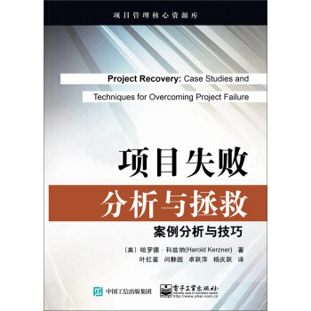 项目失败分析与拯救：案例分析与技巧 pdf epub mobi 下载