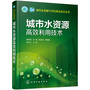 城市水資源高效利用技術 pdf epub mobi 下载