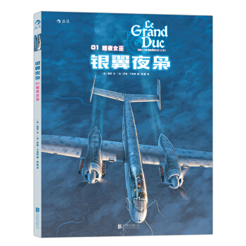 银翼夜枭 01：暗夜女巫 pdf epub mobi 电子书 下载