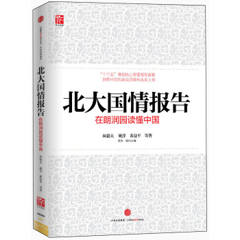北大国情报告 pdf epub mobi 电子书 下载