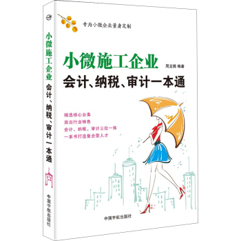 小微施工企业 会计、纳税、审计一本通 pdf epub mobi 下载