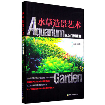 水草造景艺术:从入门到精通