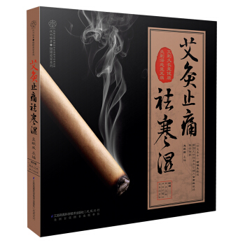 艾灸止痛祛寒湿 pdf epub mobi 下载