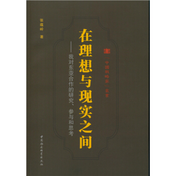 在理想與現實之間 pdf epub mobi 下载