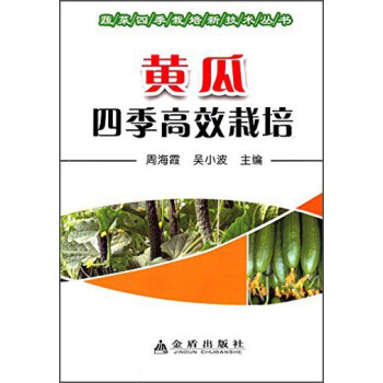 黄瓜四季高效栽培
