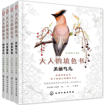 大人的填色书（套装共4册） pdf epub mobi 下载