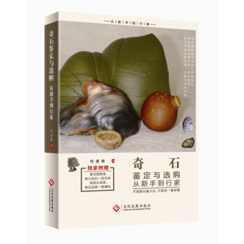 奇石鉴定与选购从新手到行家 pdf epub mobi 电子书 下载