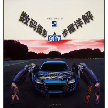 数码摄影创作步骤详解 pdf epub mobi 下载